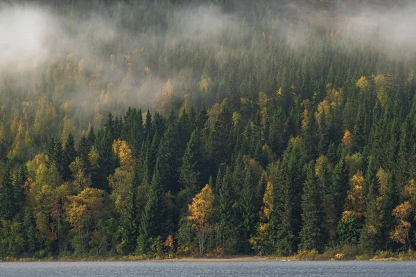 Paisagem de uma floresta colorida em uma colina coberta por uma névoa cercada por um lago — Fotografia de Stock