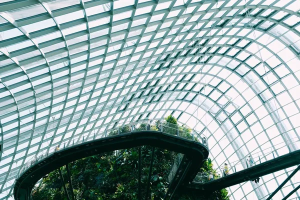 Tiro de ángulo bajo de un techo de cristal con los árboles en el fondo — Foto de Stock