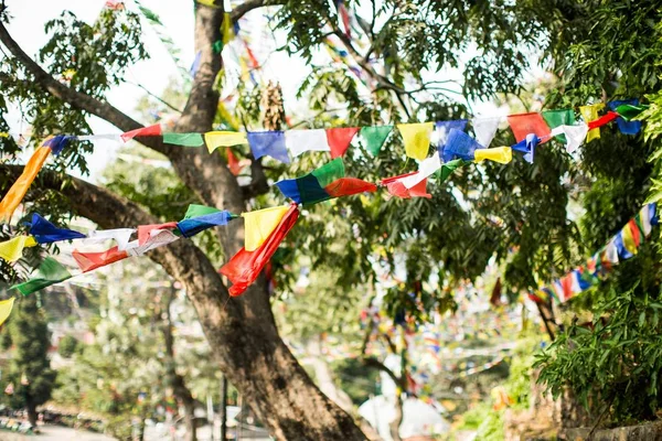 Een Lage Hoek Shot Van Kleurrijke Feestelijke Vlaggen Opgehangen Aan — Stockfoto