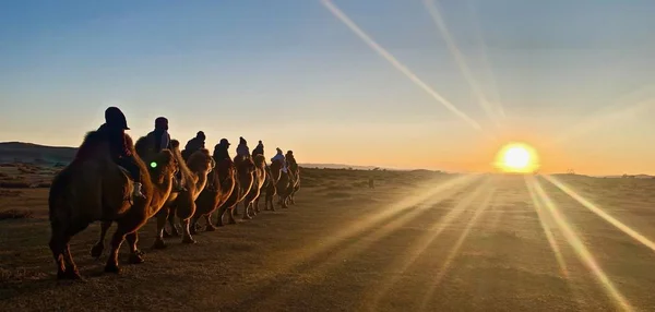 在美丽的日出时分，人们骑着骆驼坐在蓝天下的路上 — 图库照片