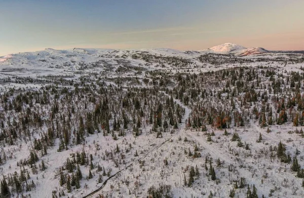 Pembe bir günbatımında mavi bir gökyüzünün altında karla kaplı bir dağın üzerindeki orman manzarası. — Stok fotoğraf