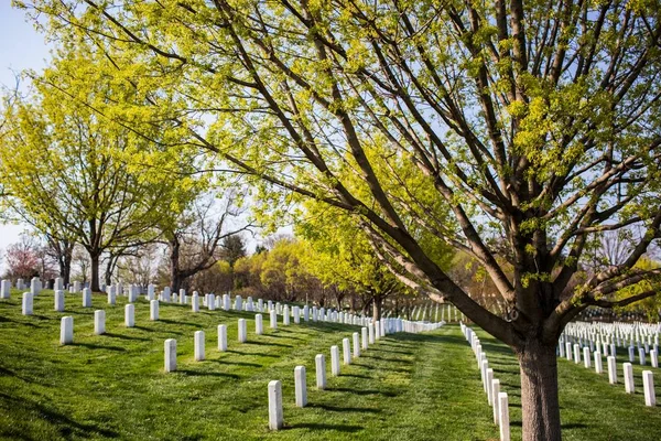 Cementerio de Arlington rodeado de árboles y vegetación bajo un cielo azul en los EE.UU. —  Fotos de Stock