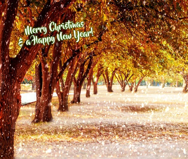 Illustrazione di alberi e fiocchi di neve che cadono con un Buon Natale e un testo felice anno nuovo — Foto Stock