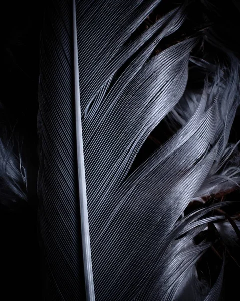 Balança de cinza vertical de uma grande folha no meio de uma floresta — Fotografia de Stock