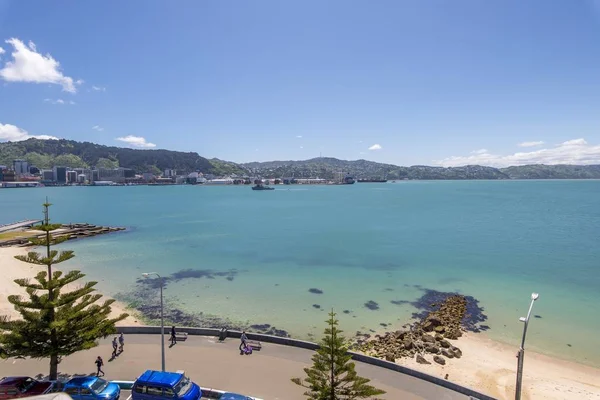 Vue d'une mer à Wellington entourée de verdure et de montagnes sous un ciel bleu — Photo