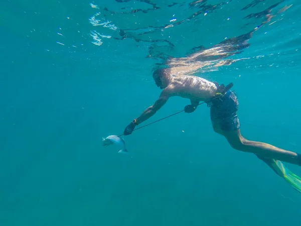 Pessoa que captura peixes subaquáticos em Sumbawa, Indonésia — Fotografia de Stock