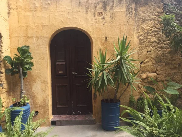 Puerta vieja rodeada de plantas — Foto de Stock