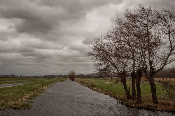 Rivière entourée de verdure et d'arbres nus sous un ciel nuageux en soirée — Photo