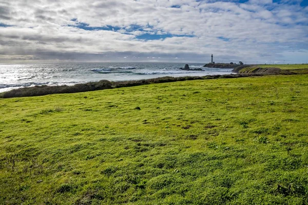 Hermosa toma de olas oceánicas moviéndose hacia la orilla verde bajo el cielo nublado — Foto de Stock