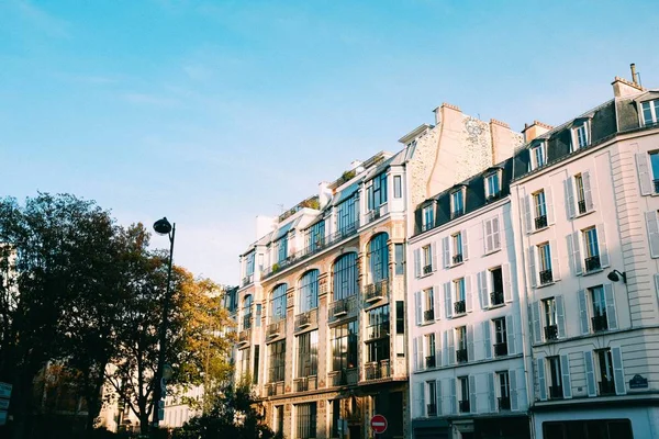 Low angle shot of a white building with trees in front of it under the blue sky — 스톡 사진