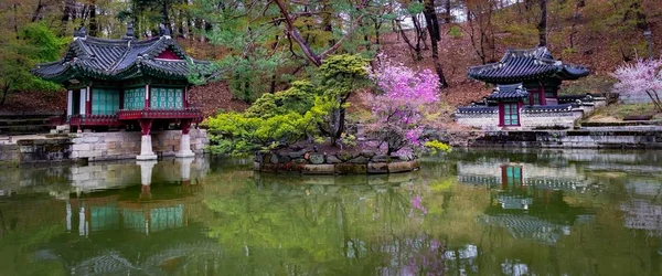 Een Panoramisch Shot Van Vroege Voorjaar Bij Buyongji Pond Onderdeel — Stockfoto