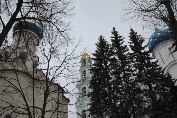 Nízký úhel obrazu ruských klášterů s modrými střechami pokrytými stromy během zimy — Stock fotografie