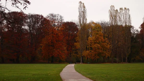 Landschaft eines Parks mit einem Weg, umgeben von Rasen und bunten Bäumen im Herbst — Stockfoto