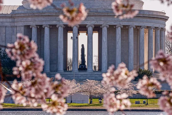 Jeffersonův památník, přílivová nádrž a třešňové květy během festivalu Washington Dc Cherry Blossom — Stock fotografie