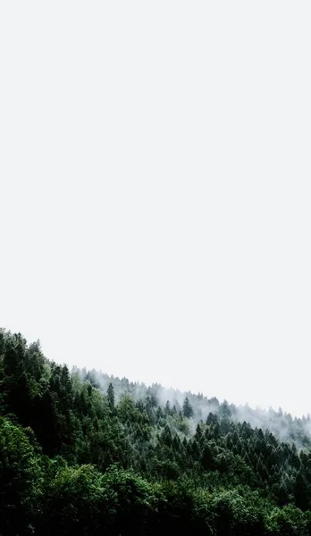 Vertical shot of a cloud of smoke coming out of a green scenery touching the sky — Stock Photo, Image