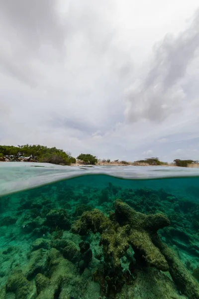 カリブ海のボネール島で海の垂直低角度ショット — ストック写真