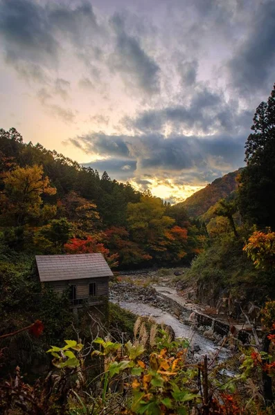 Paysage à couper le souffle du soleil se levant sur la forêt d'automne fascinante — Photo