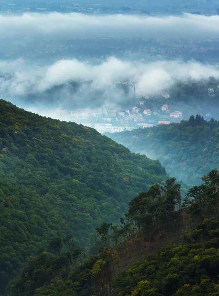 Plano Vertical Del Bosque Montaña Medvednica Zagreb Croacia Bajo Cielo —  Fotos de Stock