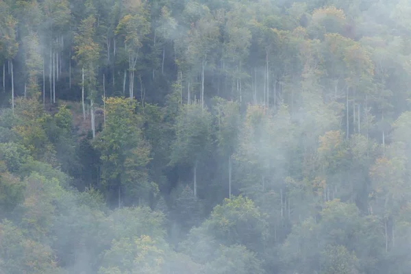 Hırvatistan Zagreb Kentindeki Medvednica Dağı Ndaki Ormanı Kaplayan Duman — Stok fotoğraf