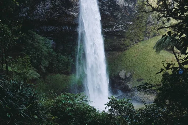 Ett Vackert Landskap Ett Mäktigt Vattenfall Skog Omgiven Gröna Träd — Stockfoto