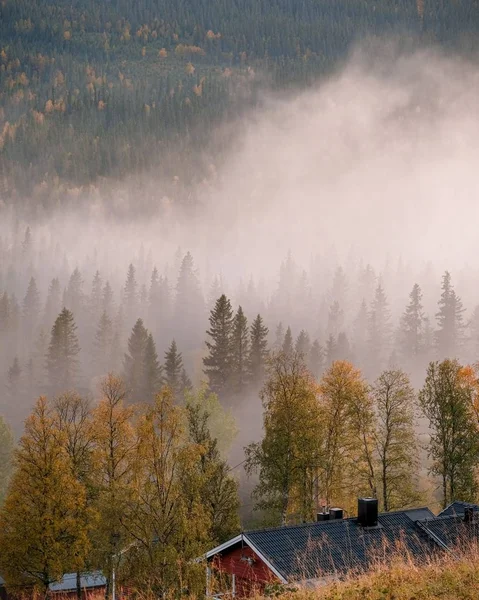 Vertikal bild av färgglada hus omgivna av träd täckta av dimma med en skog på bakgrunden — Stockfoto