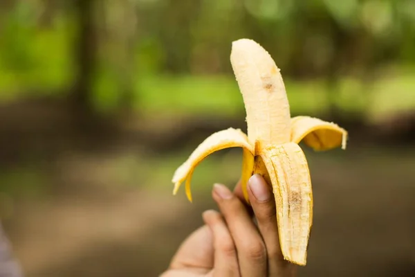 Persona sosteniendo un plátano medio pelado sobre un fondo borroso — Foto de Stock
