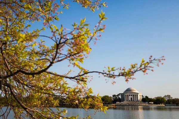 Jeffersonův Památník Obklopený Vodou Zelení Pod Modrou Oblohou Washingtonu — Stock fotografie