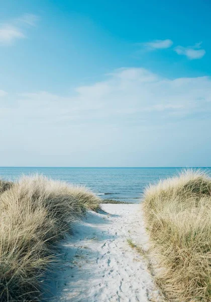 Вертикальний Знімок Стежки Веде Пляжу Узбережжі Океану — стокове фото
