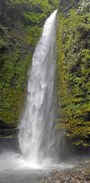 Vertikale Aufnahme eines mitten im Wald fließenden Wasserfalls — Stockfoto