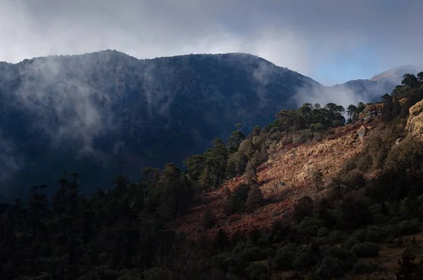 Прекрасный Пейзаж Скалистых Гор Естественным Дымом Деревьями Холмах Мрачную Погоду — стоковое фото