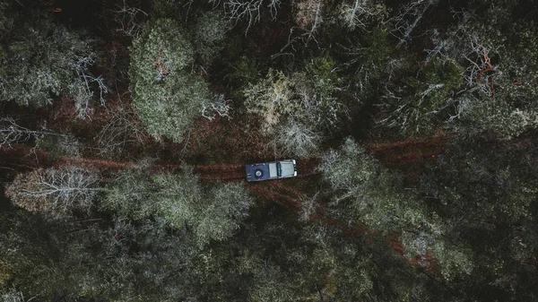 Повітряний Постріл Автомобіля Їде Лісі Оточений Високими Деревами — стокове фото