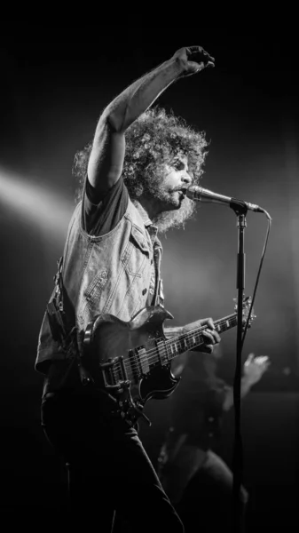 Wolfmother. — Foto de Stock