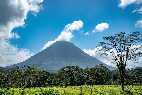 Uno Scenario Una Montagna Mezzo Campo Verde Che Tocca Morbide — Foto Stock