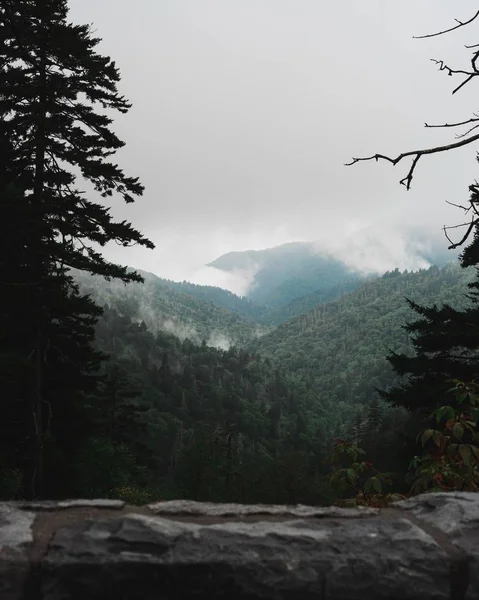 Een Ontspannend Mystiek Uitzicht Groene Bosrijke Bergen Bedekt Met Witte — Stockfoto