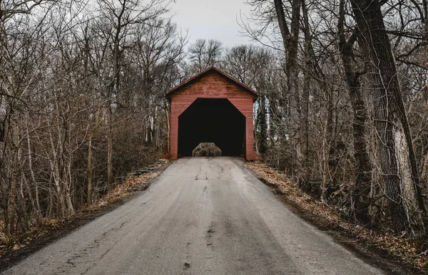 冬には裸の木の森の中の小さな赤いガレージにつながる道 — ストック写真