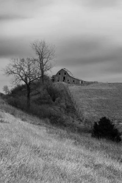 Vertical Grayscale Shot Building Top Dry Grassy Hill Bare Trees — ストック写真