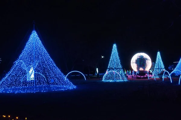 Światła świąteczne w Detroit Zoo 11 / 24 / 2017 — Zdjęcie stockowe