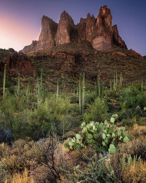 Pionowe Ujęcie Roślin Kaktusa Trawiastym Polu Wysokimi Formacjami Skalnymi Tle — Zdjęcie stockowe