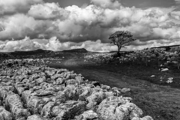 Greyscale skott av klippformationer i dalen under himlen med täta moln — Stockfoto