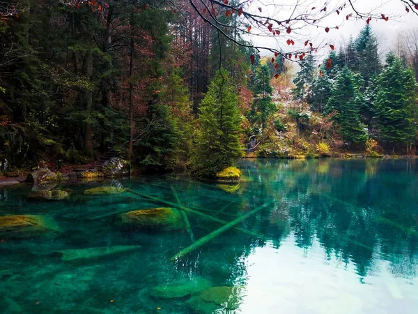 Озеро Блузі Оточене Зеленню Відбивається Воді Швейцарії — стокове фото