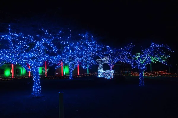 Luzes de Natal no Jardim Zoológico de Detroit 24 / 11 / 2017 — Fotografia de Stock