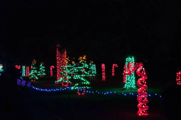 Luzes de Natal no Jardim Zoológico de Detroit 24 / 11 / 2017 — Fotografia de Stock