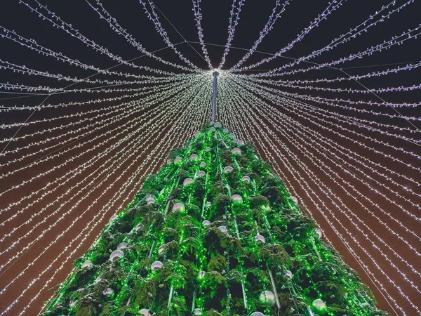 Alacsony Látószögű Kilátás Egy Díszített Karácsonyfa Fehér Fények Alatt Éjszakai — Stock Fotó