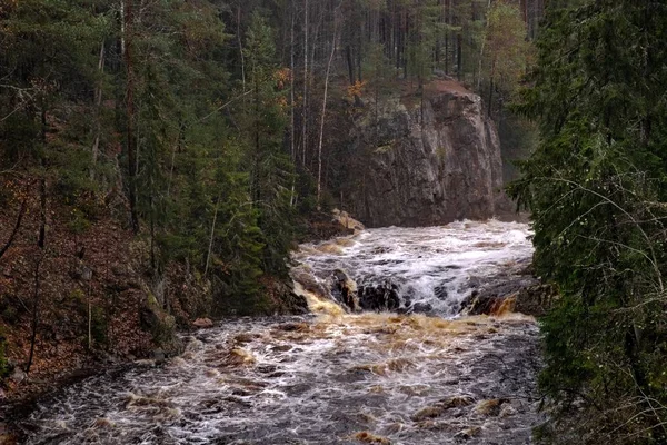 Skummande flod rusar genom klipporna i skogen — Stockfoto