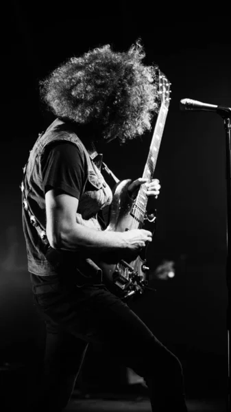 Wolfmother. — Foto de Stock