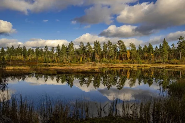 Stromy Bílé Mraky Odrážely Jezeře Poblíž Lesa — Stock fotografie