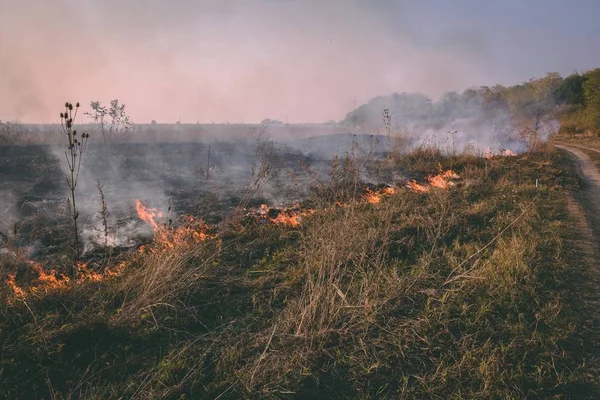 Fuego quemando la hierba seca del valle por la noche — Foto de Stock