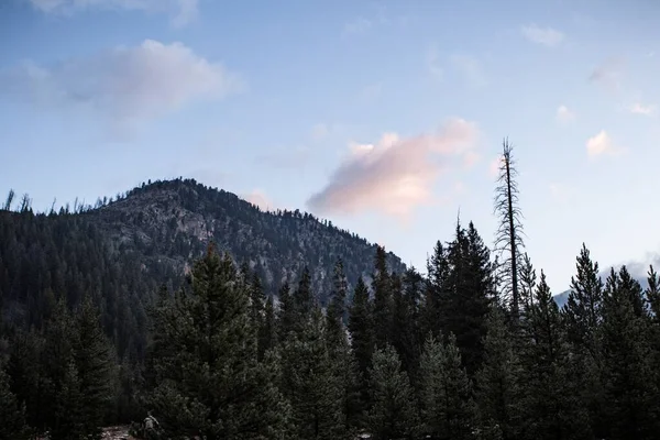 Paisaje Bosque Con Montañas Cubiertas Vegetación Fondo Bajo Cielo Nublado —  Fotos de Stock