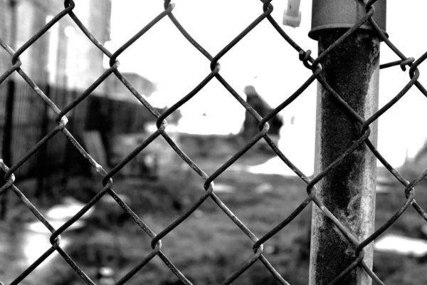 Greyscale Closeup Wired Fences Buildings Sunlight Blurry Background — ストック写真