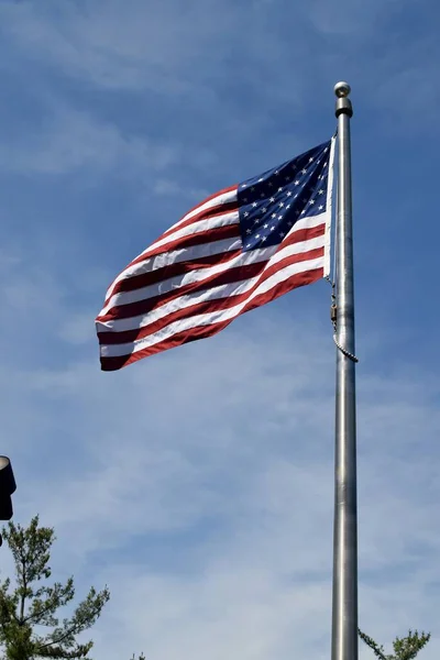 Lav Vinkel Billede Det Amerikanske Flag Nær Træer Blå Overskyet - Stock-foto